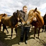 Horseback riding tours in South Iceland