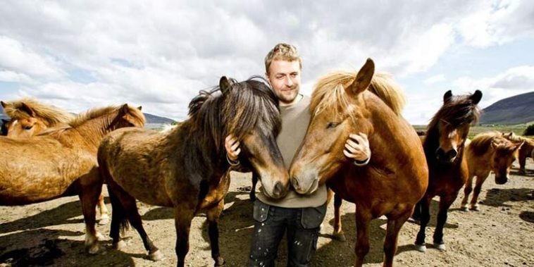 Horseback Riding in Iceland - TripGuide Iceland