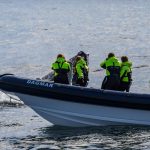 Express whale watching in Iceland