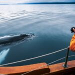 Eco-friendly Whale Watching (Carbon-Neutral tour)